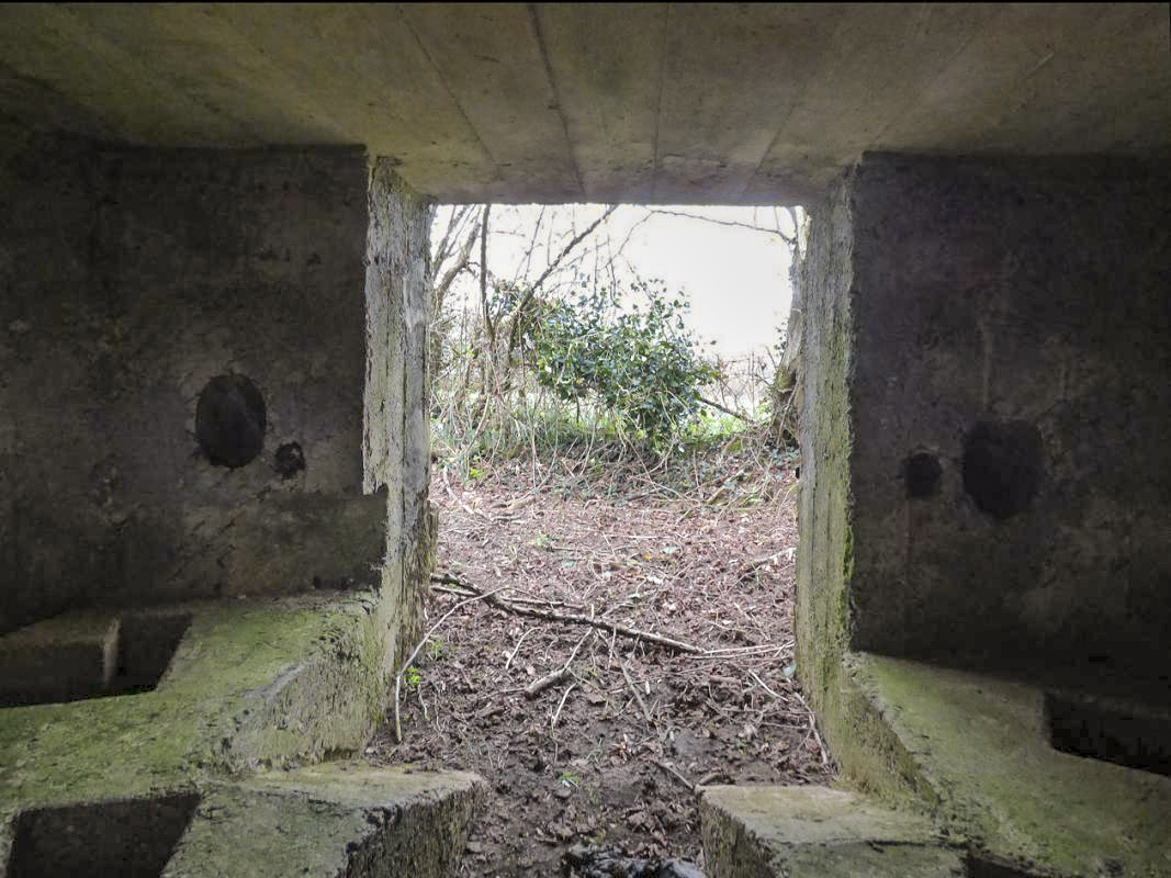 Ligne Maginot - BA71 - LES BERNES - (Blockhaus pour canon) -  - JMBrams