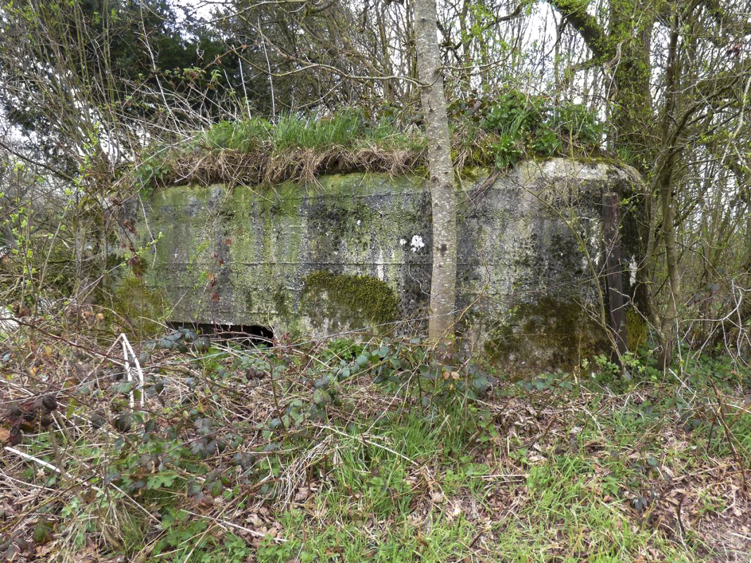 Ligne Maginot - BA75 - TAILLETTE OUEST - (Blockhaus pour canon) -  - JMBrams