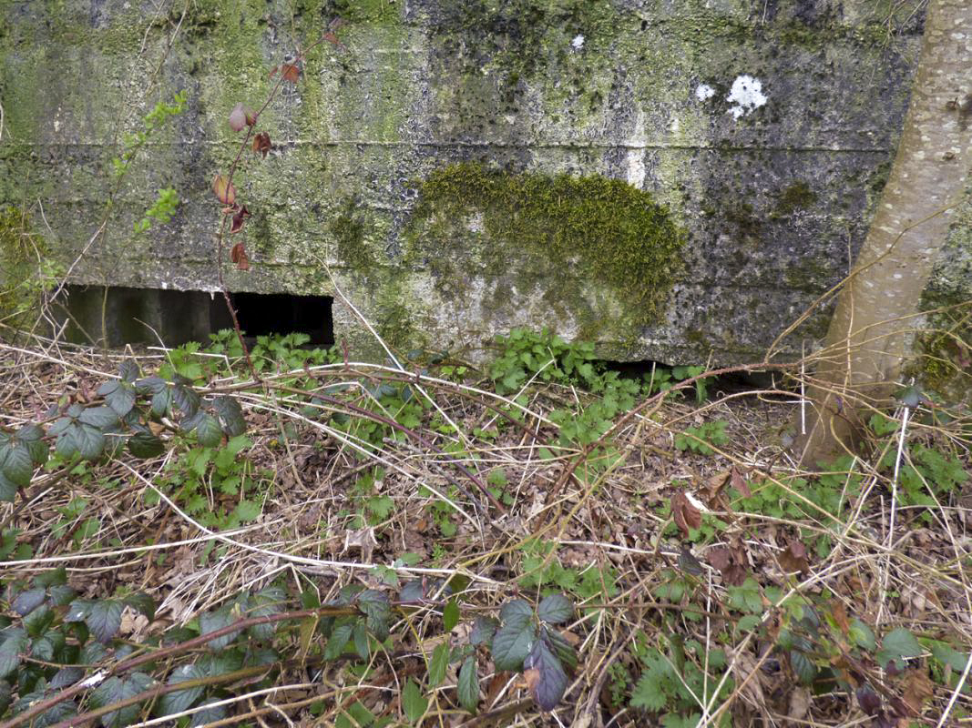 Ligne Maginot - BA75 - TAILLETTE OUEST - (Blockhaus pour canon) -  - JMBrams