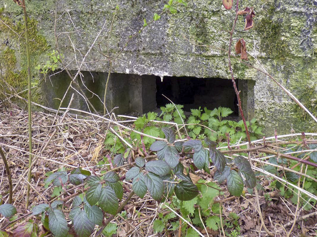 Ligne Maginot - BA75 - TAILLETTE OUEST - (Blockhaus pour canon) -  - JMBrams