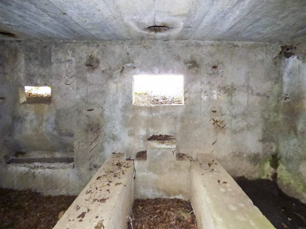 Ligne Maginot - BA75 - TAILLETTE OUEST - (Blockhaus pour canon) -  - JMBrams