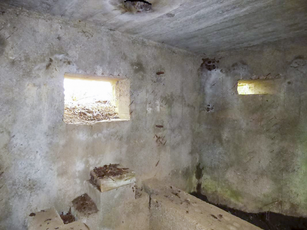 Ligne Maginot - BA75 - TAILLETTE OUEST - (Blockhaus pour canon) -  - JMBrams