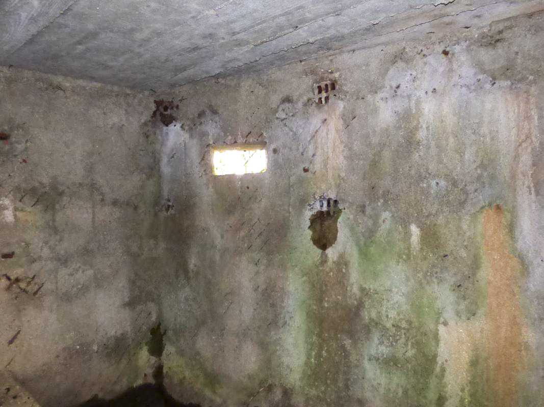 Ligne Maginot - BA75 - TAILLETTE OUEST - (Blockhaus pour canon) -  - JMBrams