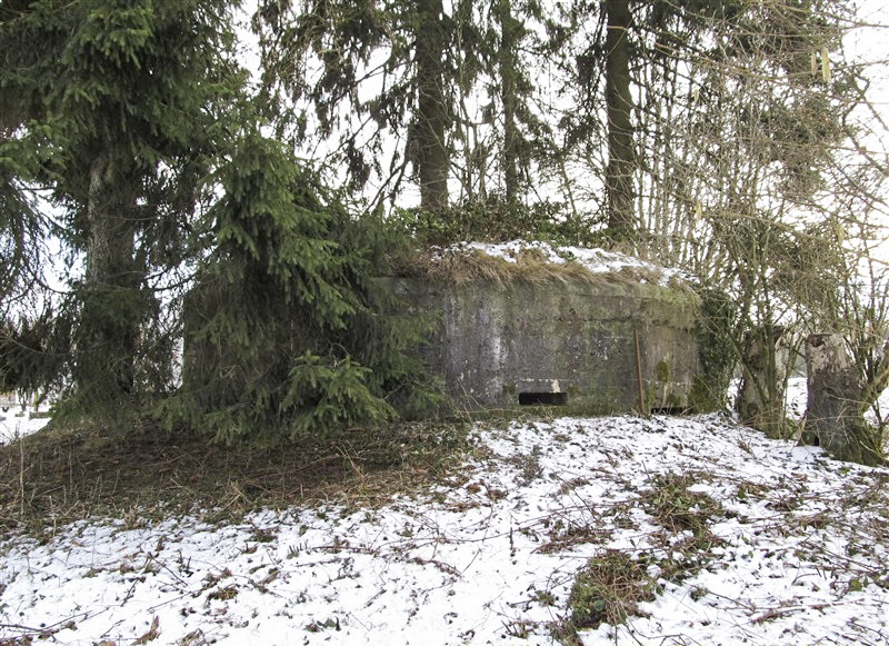 Ligne Maginot - BA72 - PONT DU MAMELOT EST - (Blockhaus pour canon) -  - François MATHOT