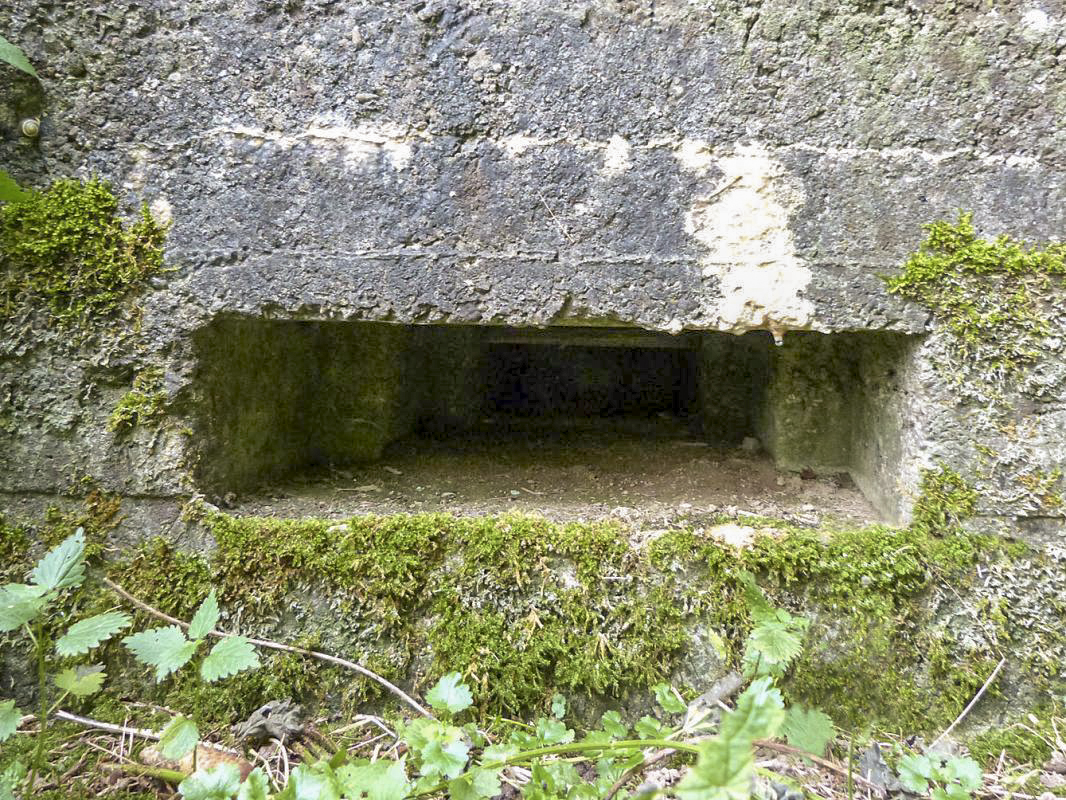 Ligne Maginot - BA72 - PONT DU MAMELOT EST - (Blockhaus pour canon) -  - JMBrams