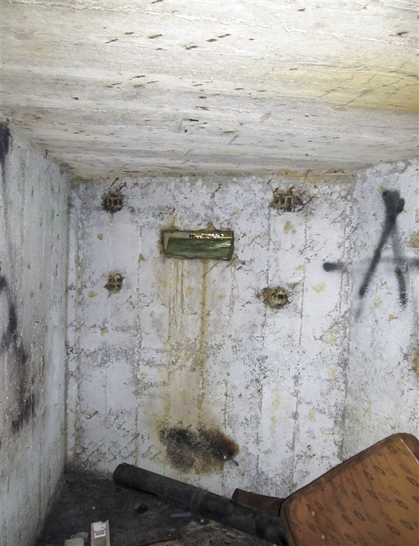Ligne Maginot - BA77 - LA BORNE RUSSE - (Blockhaus pour arme infanterie) -  - François MATHOT