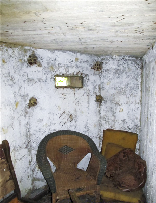 Ligne Maginot - BA77 - LA BORNE RUSSE - (Blockhaus pour arme infanterie) -  - François MATHOT