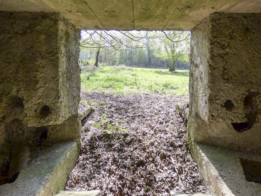 Ligne Maginot - BA78 - LE PAQUIS - (Blockhaus pour canon) -  - JMBrams