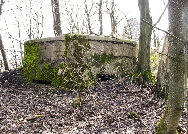 Ligne Maginot - BA79 - CROIX PESSET - (Blockhaus pour canon) -  - François MATHOT
