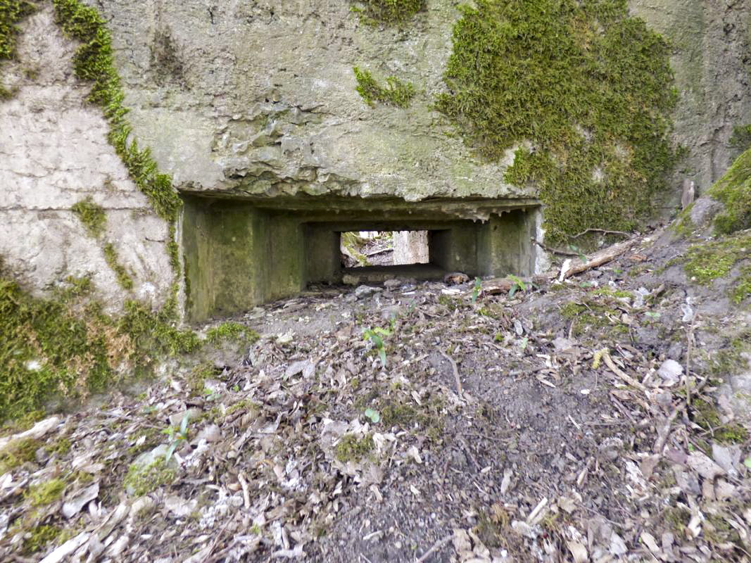 Ligne Maginot - BA79 - CROIX PESSET - (Blockhaus pour canon) -  - JMBrams