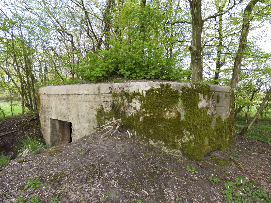 Ligne Maginot - BA79 - CROIX PESSET - (Blockhaus pour canon) -  - JMBrams