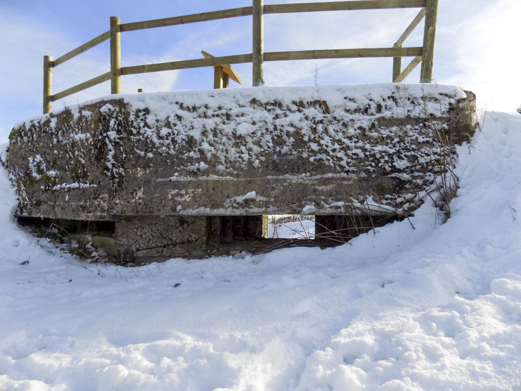 Ligne Maginot - BA81 - ROCROI OUEST 1 - (Blockhaus pour canon) - Face frontale - R Tucker