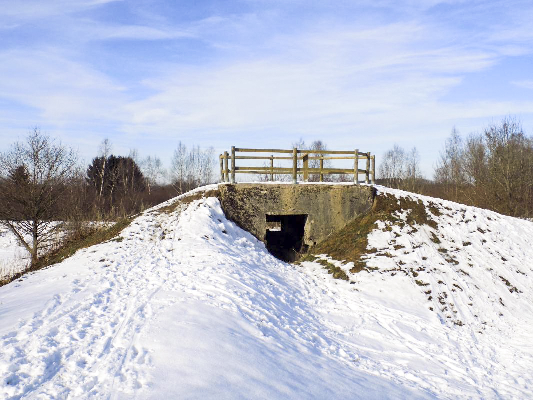 Ligne Maginot - BA81 - ROCROI OUEST 1 - (Blockhaus pour canon) - L'arrière - R Tucker