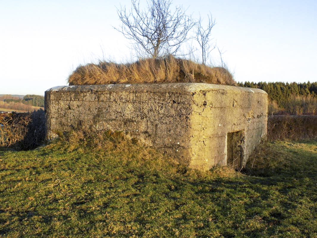 Ligne Maginot - BA87 - LA PETITE RIEZE - (Blockhaus pour canon) - Faces gauche et l'arrière - R Tucker