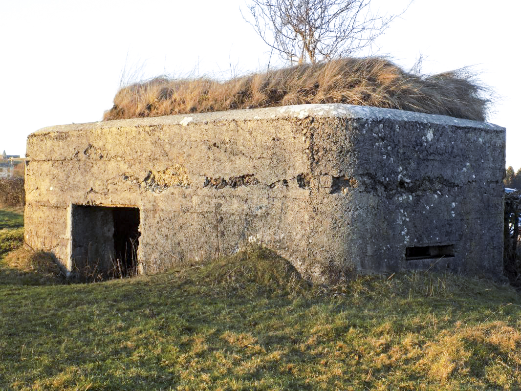 Ligne Maginot - BA87 - LA PETITE RIEZE - (Blockhaus pour canon) - L'arrière et face droite - R Tucker