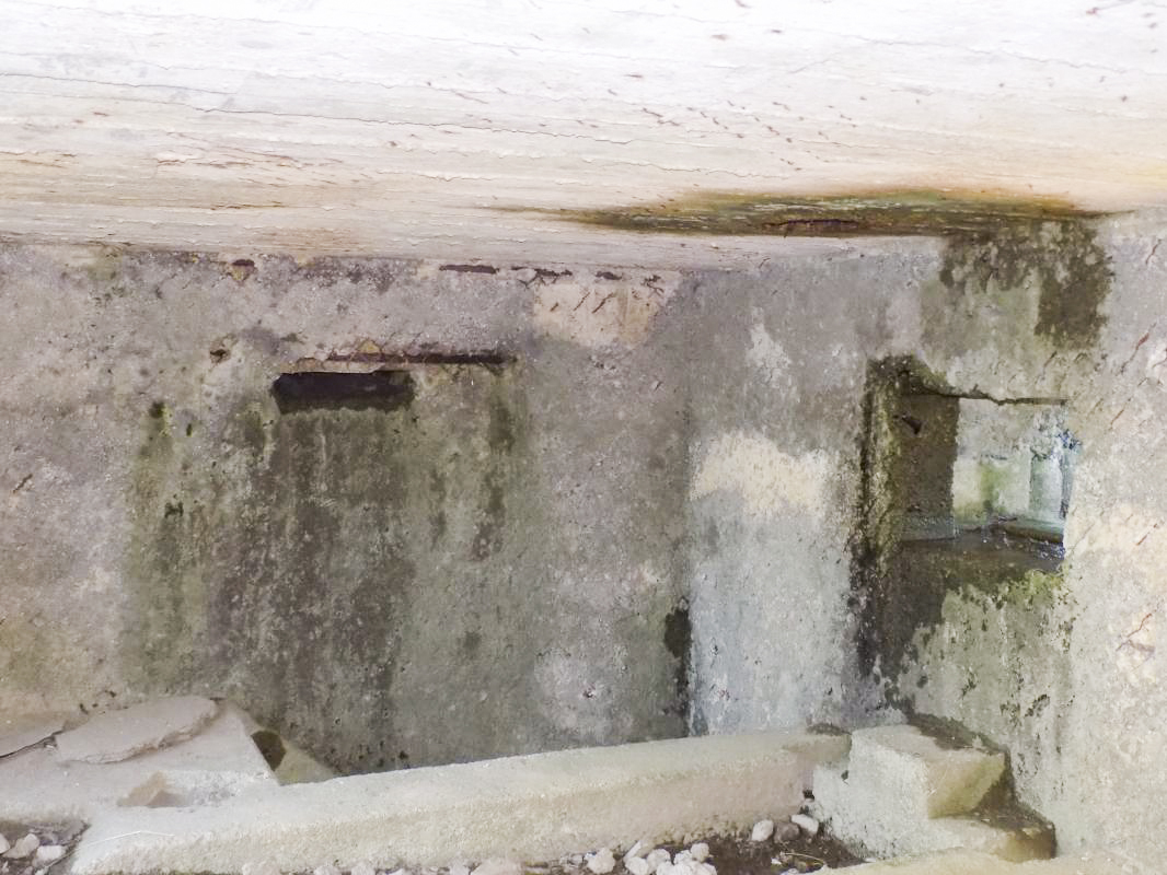 Ligne Maginot - BA87 - LA PETITE RIEZE - (Blockhaus pour canon) - Face gauche créneau Obs et créneau AC - R Tucker