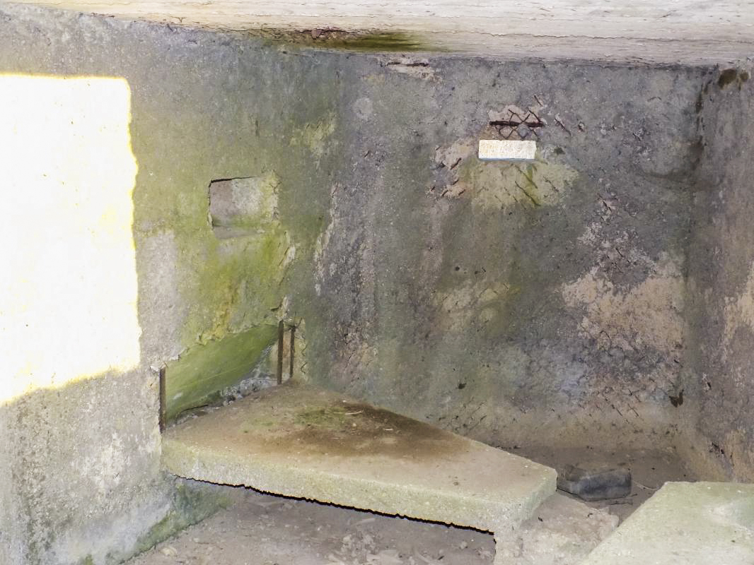 Ligne Maginot - BA87 - LA PETITE RIEZE - (Blockhaus pour canon) - Créneaux Hotchkiss et Obs - R Tucker