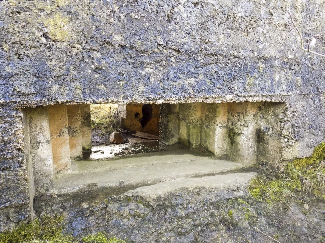 Ligne Maginot - BA87 - LA PETITE RIEZE - (Blockhaus pour canon) - Créneau Hotchkiss - R Tucker
