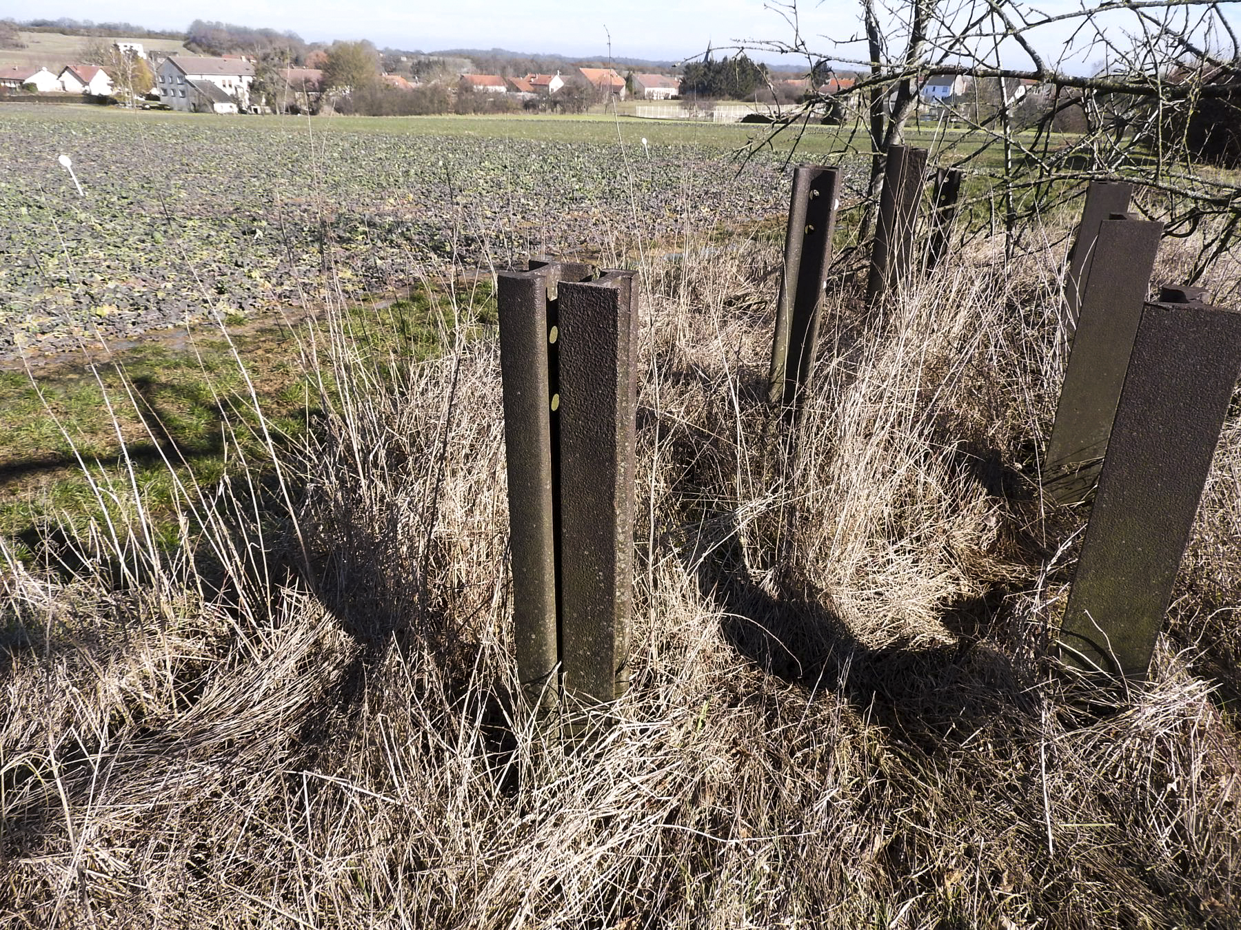 Ligne Maginot - LES CHATS 1 - FT - (Blockhaus pour arme infanterie) - Le réseau anti-char à proximité du point d'appui, en direction de la chambre de coupure voisine - STENGER Mathieu