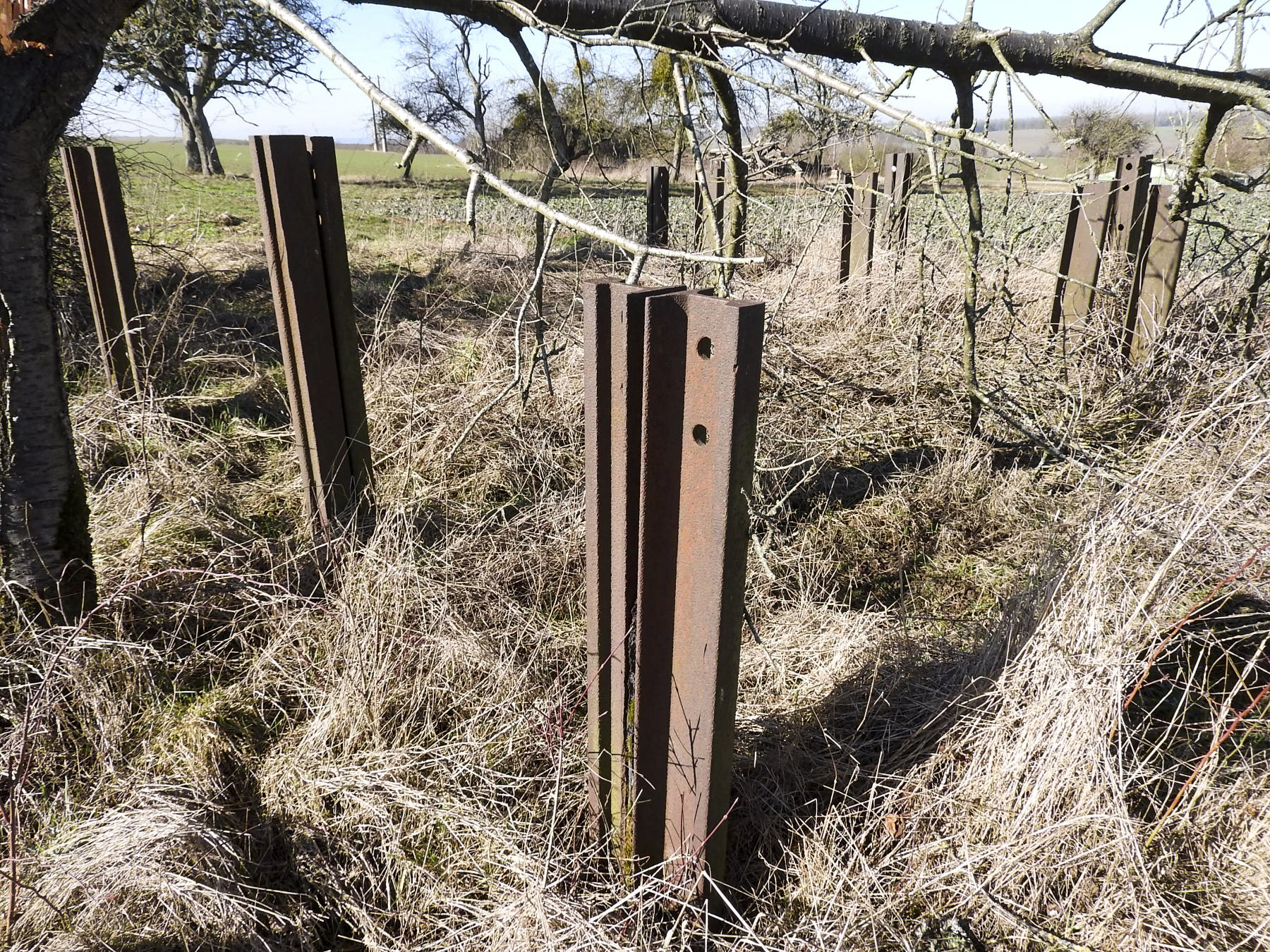 Ligne Maginot - LES CHATS 1 - FT - (Blockhaus pour arme infanterie) - Le réseau anti-char à proximité du point d'appui, en direction de la chambre de coupure voisine - STENGER Mathieu