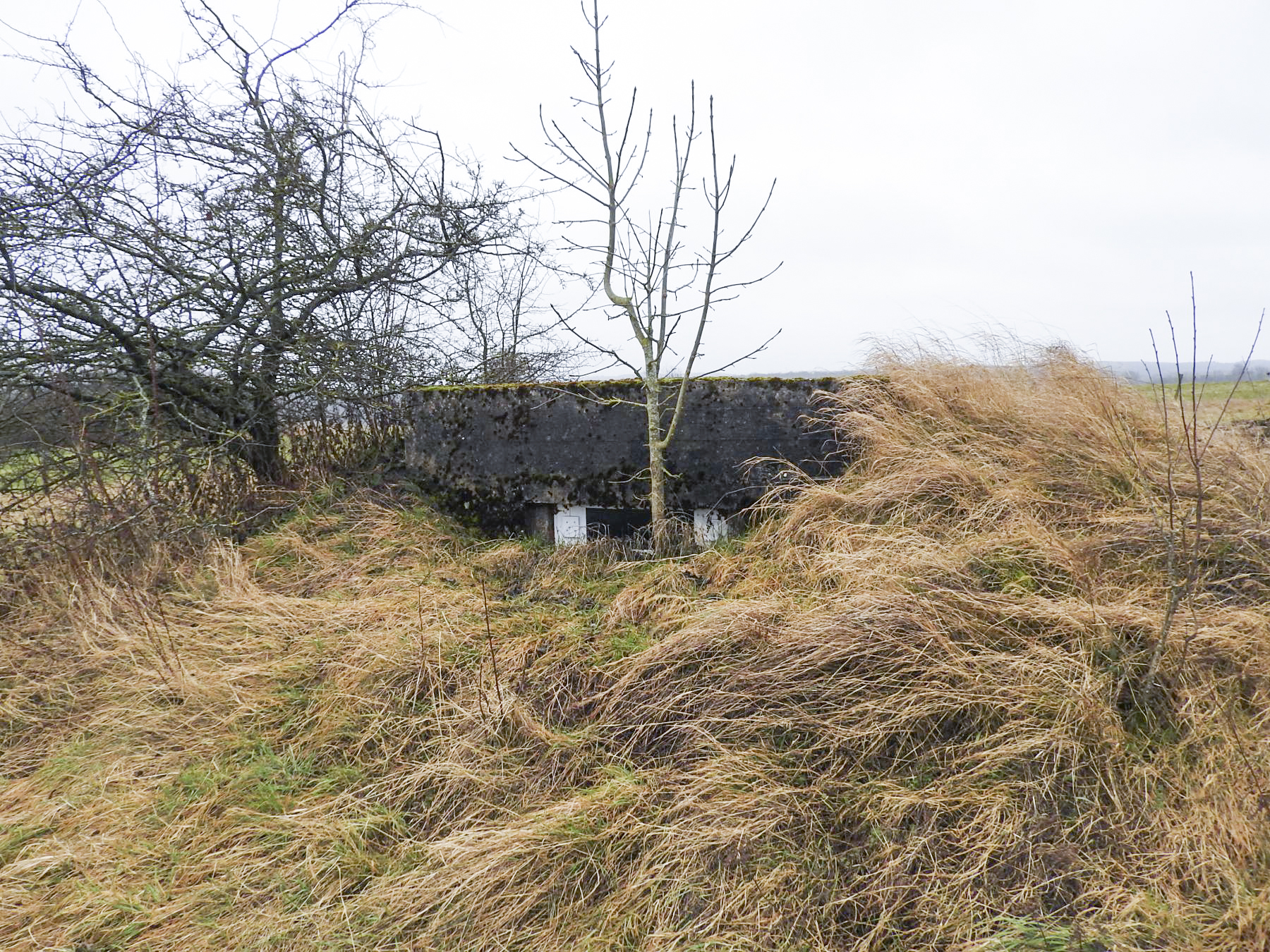 Ligne Maginot - GALGENBERG 1 - (Blockhaus pour arme infanterie) - La façade de tir du blockhaus. - STENGER Mathieu