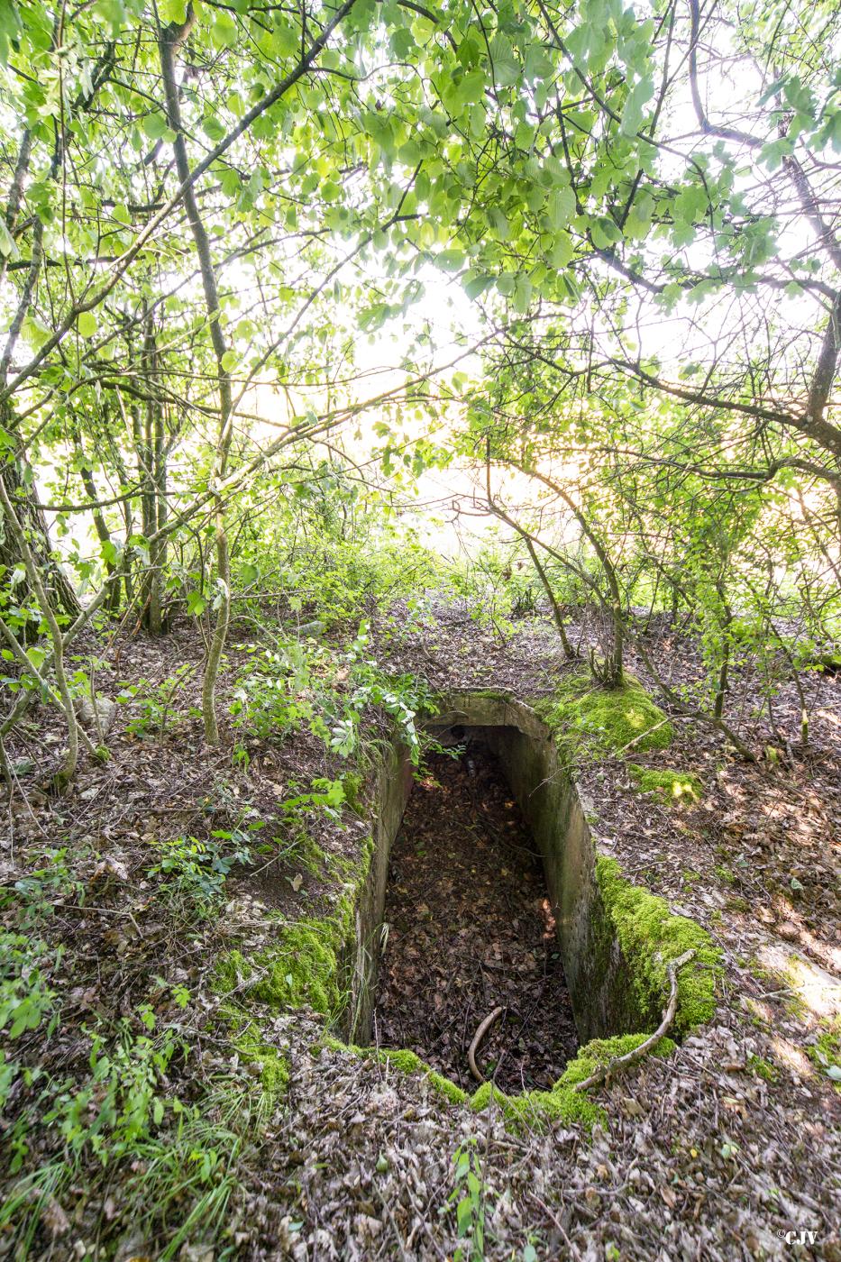 Ligne Maginot - MITTELSWALD 5 - (Blockhaus pour arme infanterie) -  - Lia VERMEULEN