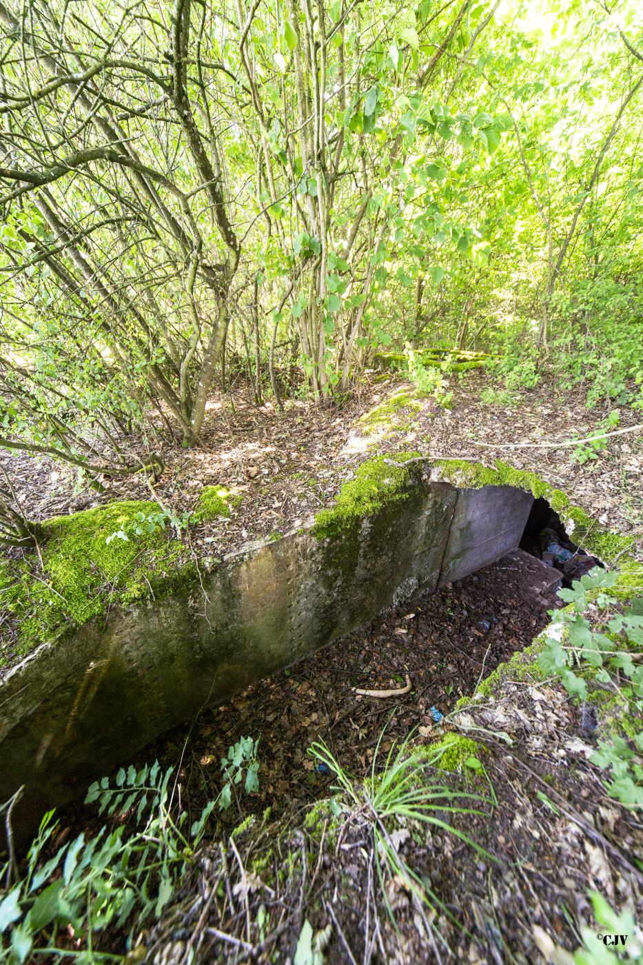 Ligne Maginot - MITTELSWALD 5 - (Blockhaus pour arme infanterie) -  - Lia VERMEULEN