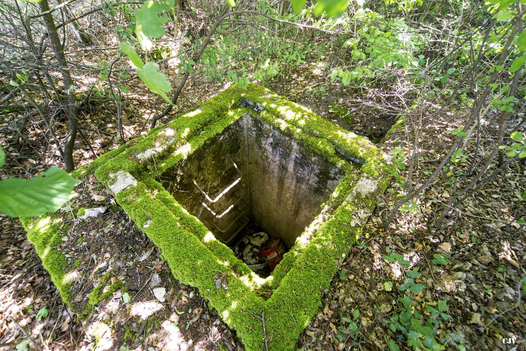 Ligne Maginot - MITTELSWALD 5 - (Blockhaus pour arme infanterie) -  - Lia VERMEULEN