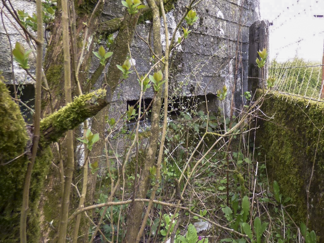 Ligne Maginot - BA82BIS - ROCROI SUD - (Blockhaus pour canon) -  - JMBrams