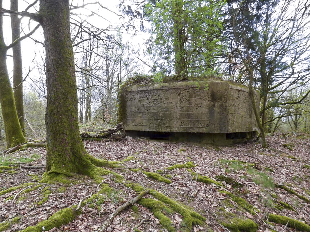 Ligne Maginot - BA83 - LA QUEUE D'ENFER - (Blockhaus pour canon) -  - JMBrams
