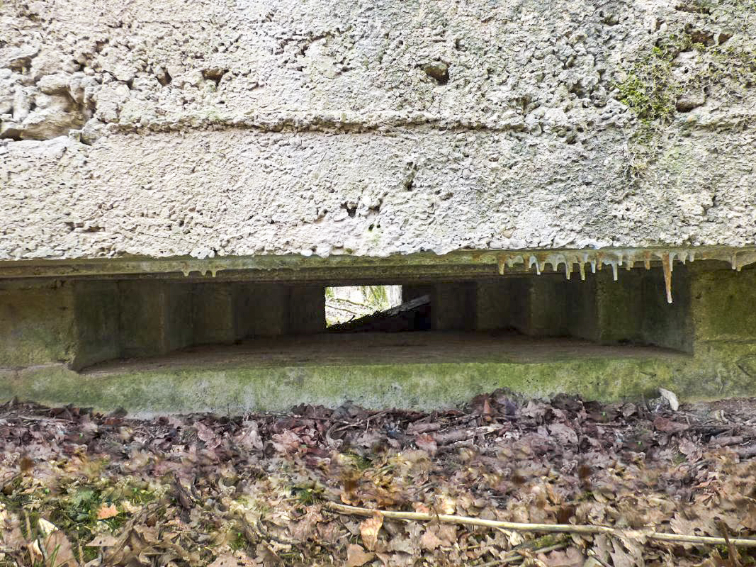 Ligne Maginot - BA83 - LA QUEUE D'ENFER - (Blockhaus pour canon) -  - JMBrams