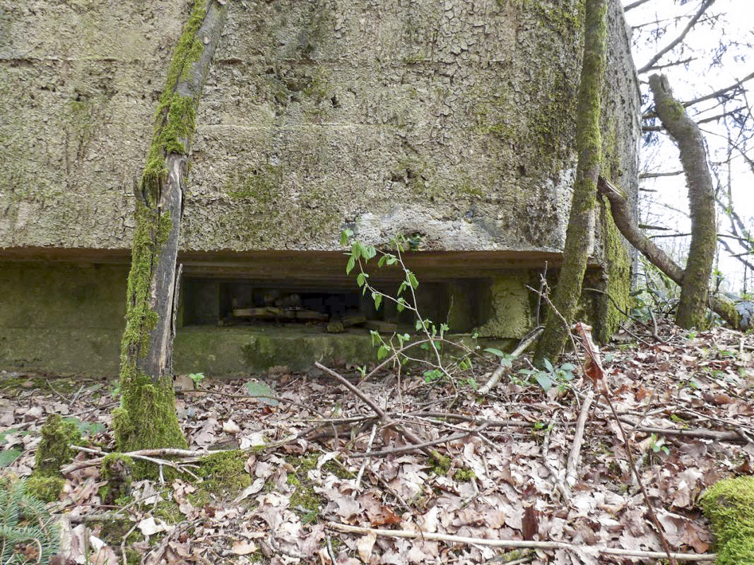 Ligne Maginot - BA83 - LA QUEUE D'ENFER - (Blockhaus pour canon) -  - JMBrams