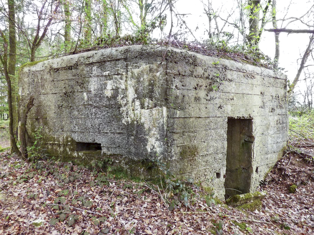 Ligne Maginot - BA83 - LA QUEUE D'ENFER - (Blockhaus pour canon) -  - JMBrams