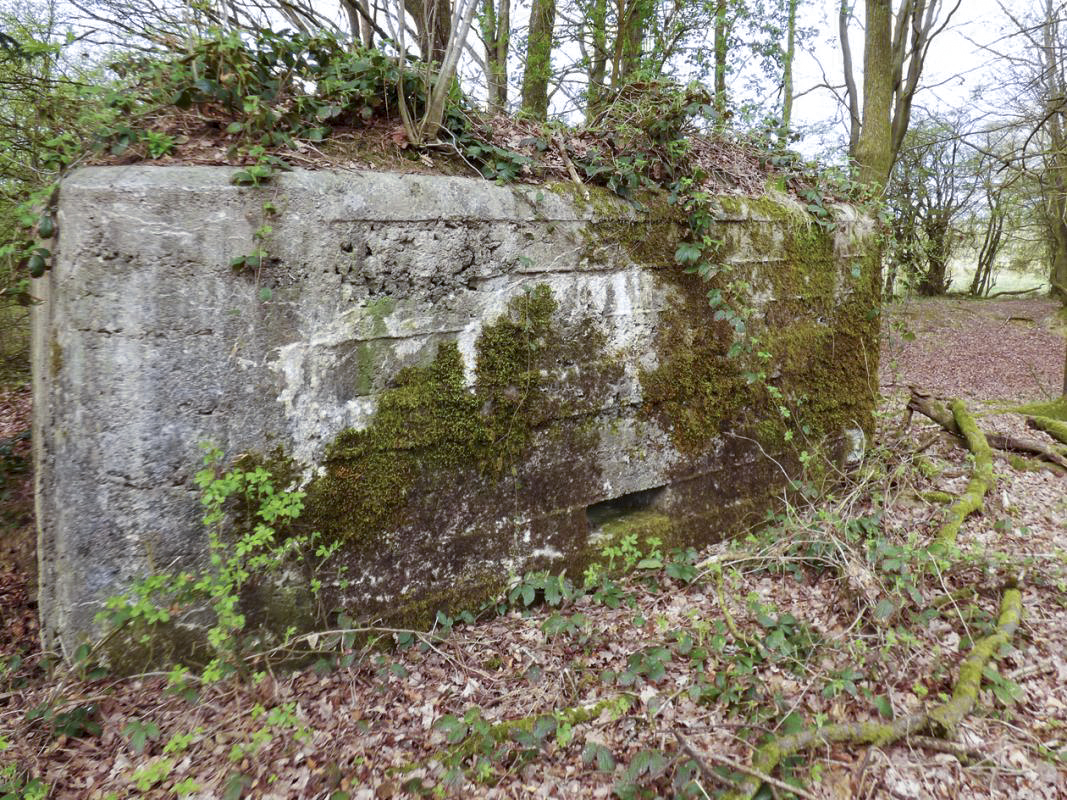 Ligne Maginot - BA83 - LA QUEUE D'ENFER - (Blockhaus pour canon) -  - JMBrams