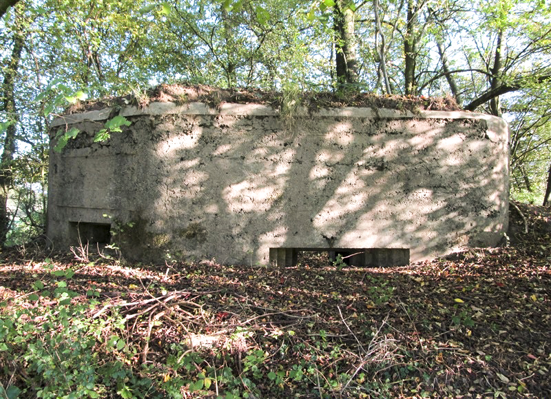 Ligne Maginot - BA84 - CENSE PICOT - (Blockhaus pour canon) -  - François MATHOT