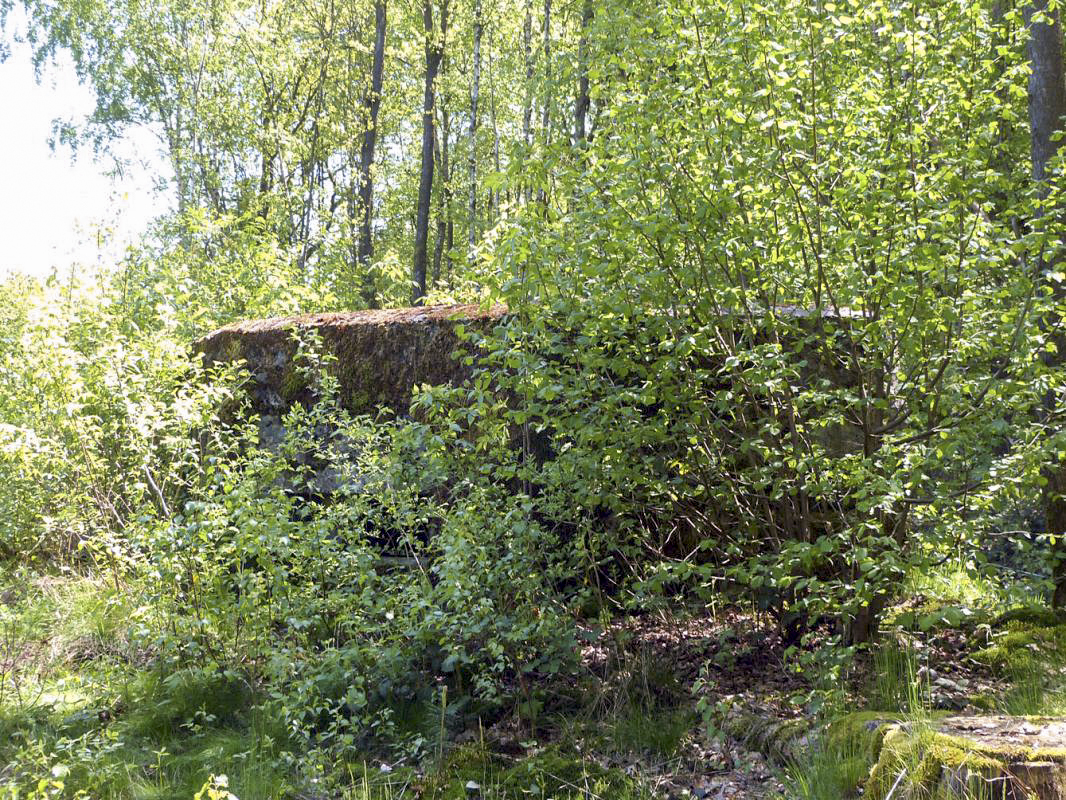 Ligne Maginot - BA84 - CENSE PICOT - (Blockhaus pour canon) -  - JMBrams