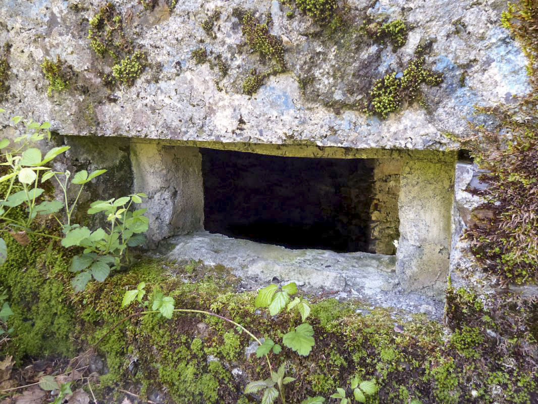 Ligne Maginot - BA84 - CENSE PICOT - (Blockhaus pour canon) -  - JMBrams