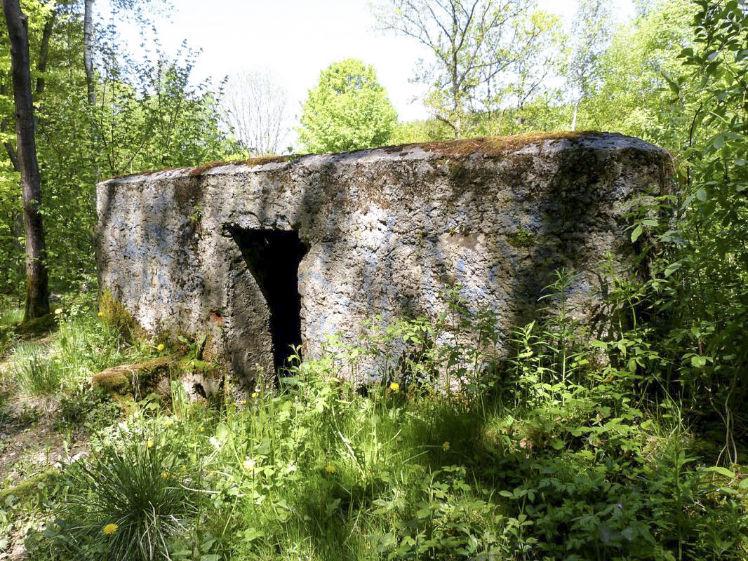 Ligne Maginot - BA84 - CENSE PICOT - (Blockhaus pour canon) -  - JMBrams