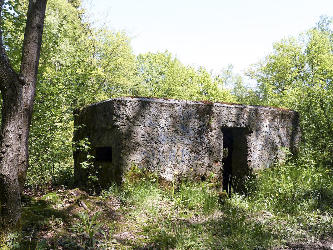 Ligne Maginot - BA84 - CENSE PICOT - (Blockhaus pour canon) -  - JMBrams