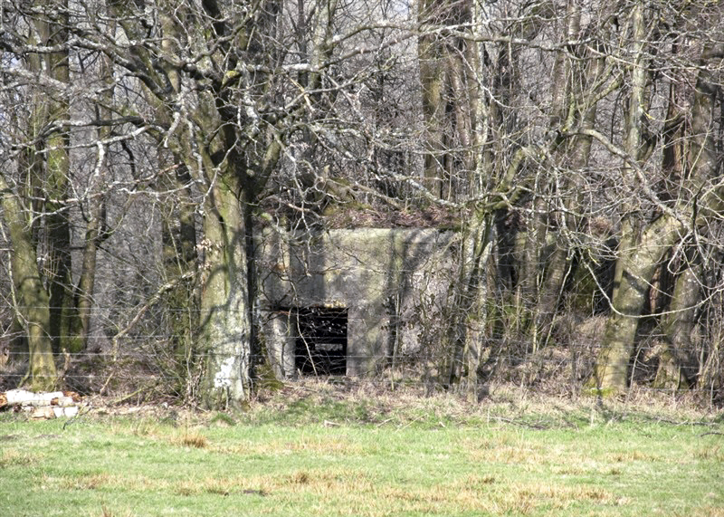 Ligne Maginot - BA85 - CENSE BLANZY - (Blockhaus pour canon) -  - François MATHOT