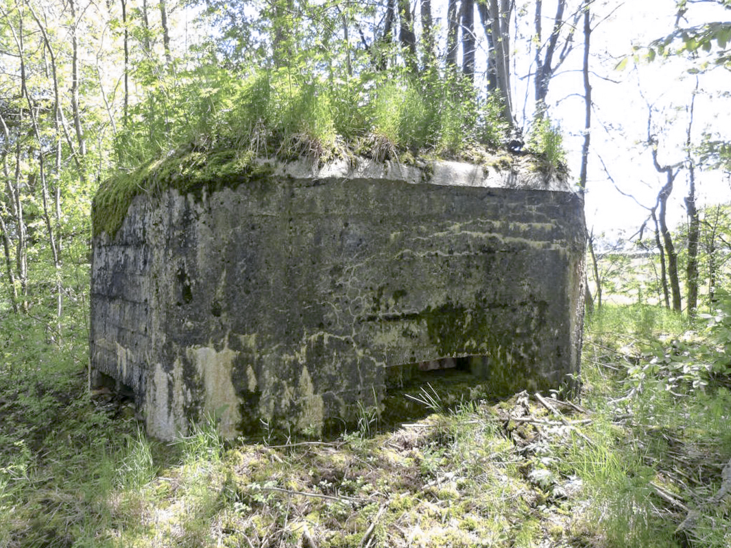 Ligne Maginot - BA85 - CENSE BLANZY - (Blockhaus pour canon) -  - JMBrams