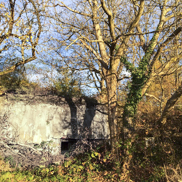 Ligne Maginot - 83 - SIERENTZ VOIE FERREE OUEST - (Casemate d'infanterie - Simple) - La casemate avant le début des travaux durant l'été 2015 - Mathieu Régli (via un ami)