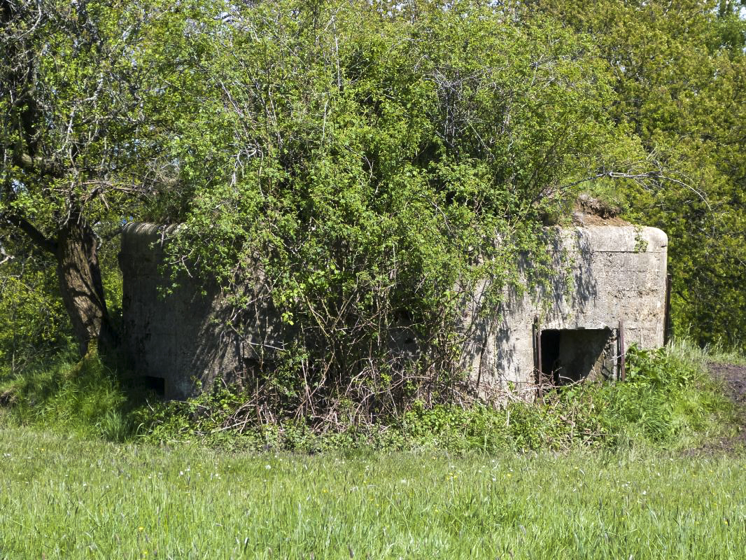 Ligne Maginot - BA86 - CENSE AU SEL - (Blockhaus pour canon) -  - JMBrams