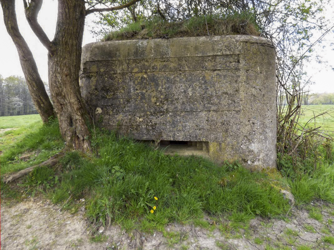 Ligne Maginot - BA86 - CENSE AU SEL - (Blockhaus pour canon) -  - JMBrams