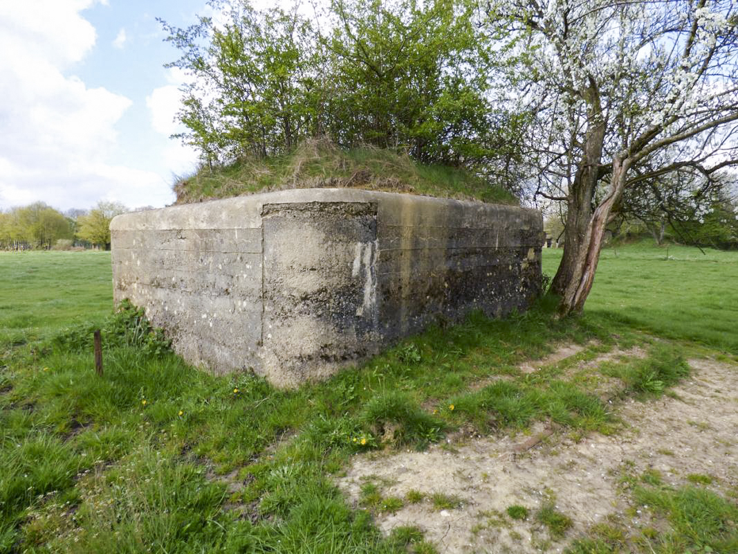 Ligne Maginot - BA86 - CENSE AU SEL - (Blockhaus pour canon) -  - JMBrams