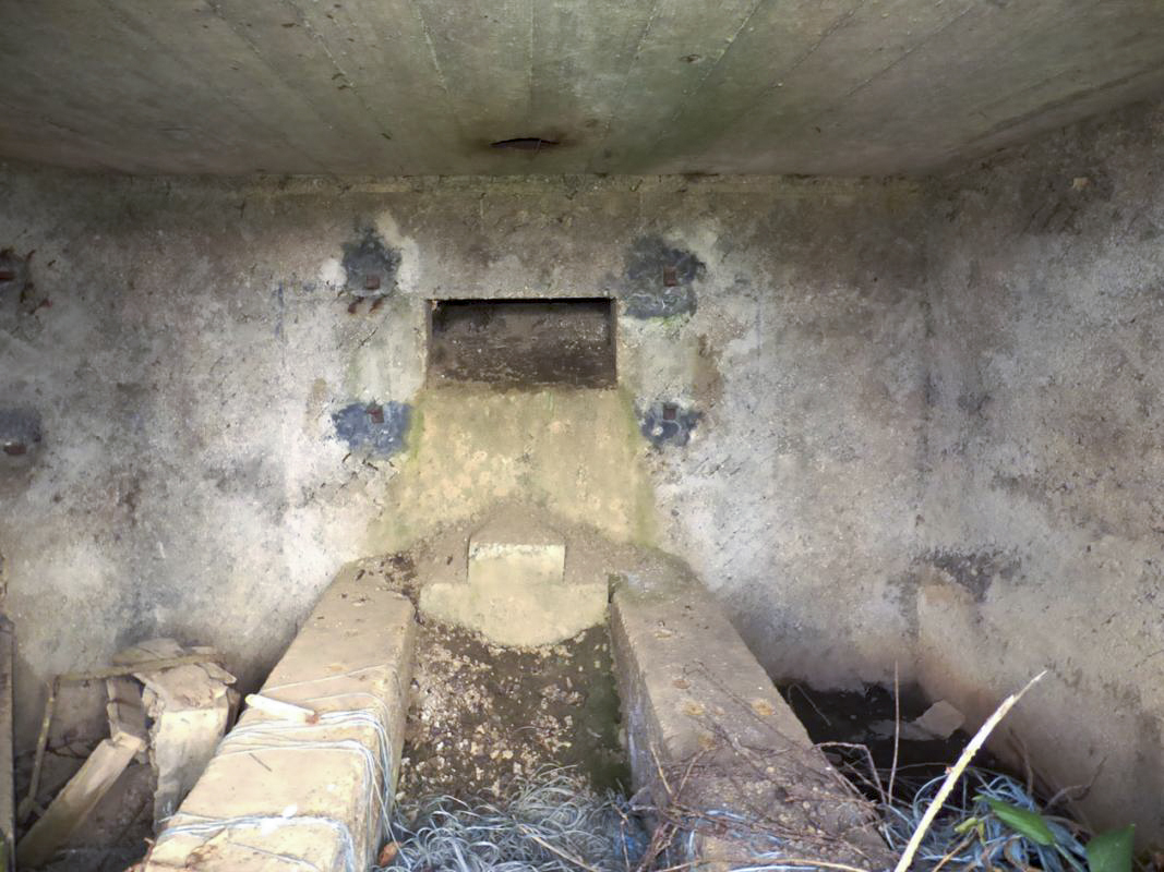 Ligne Maginot - BA86 - CENSE AU SEL - (Blockhaus pour canon) -  - JMBrams