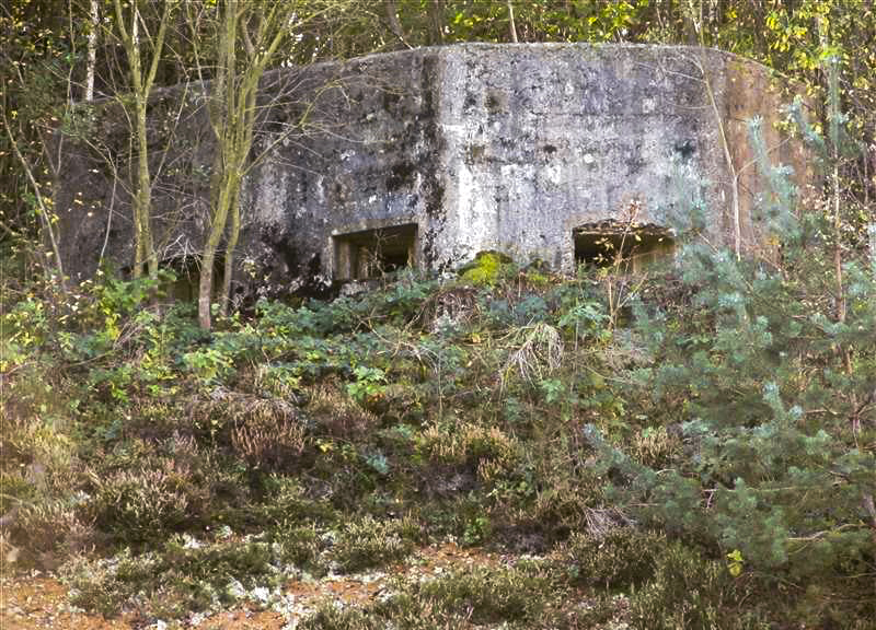 Ligne Maginot - BA89 - MOULIN LACAILLE - (Blockhaus pour canon) -  - François MATHOT