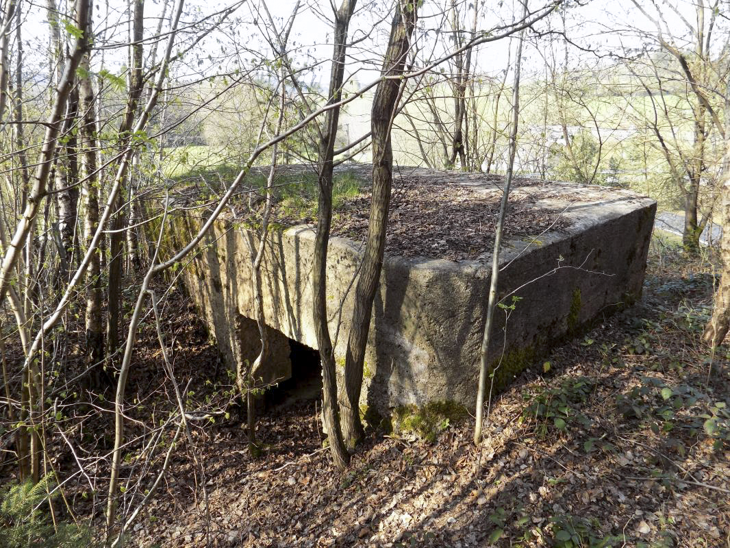 Ligne Maginot - BA89 - MOULIN LACAILLE - (Blockhaus pour canon) - L'arrière et face droite - R Tucker