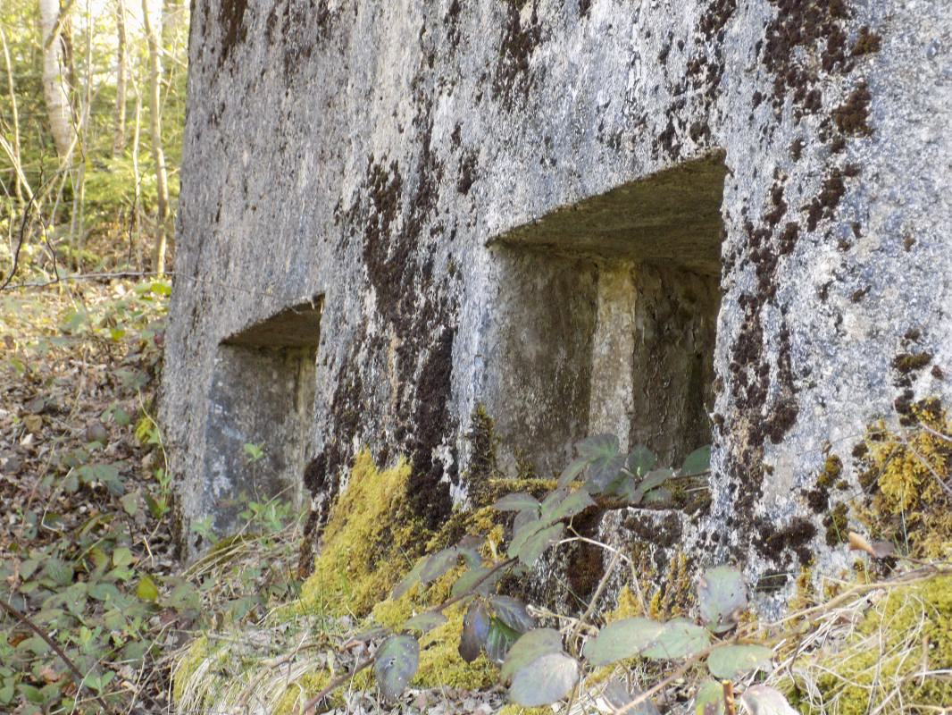 Ligne Maginot - BA89 - MOULIN LACAILLE - (Blockhaus pour canon) - Face frontale - R Tucker
