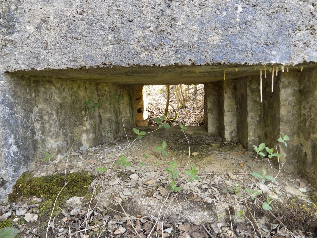 Ligne Maginot - BA89 - MOULIN LACAILLE - (Blockhaus pour canon) - Face frontale, créneau AC - R Tucker